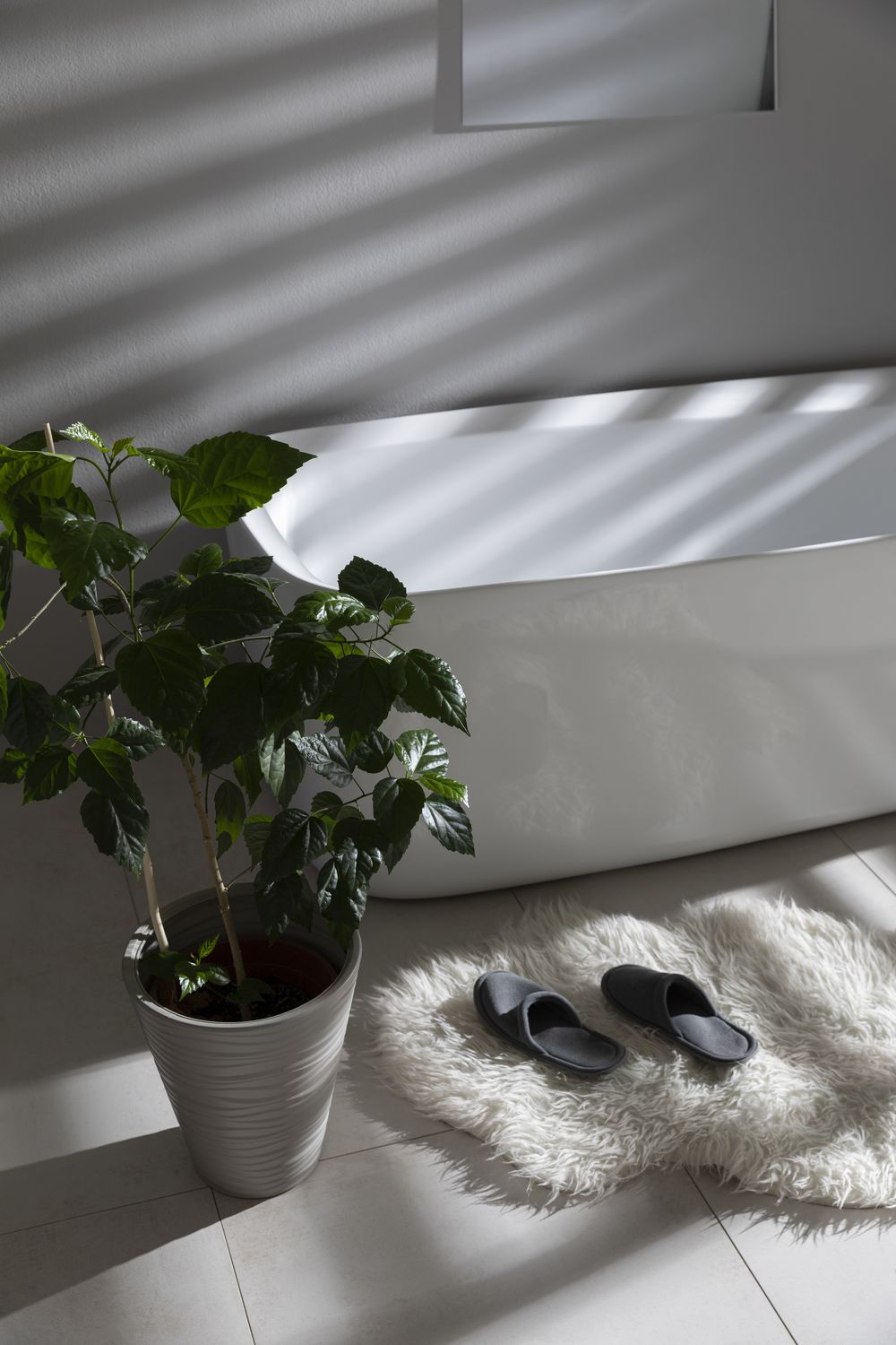 product-detail.png